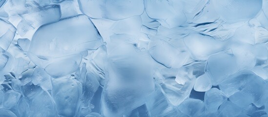 Fototapeta premium The patterns made by ice