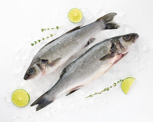 Fresh sea fish sea bass cleaned laid out on pieces ice decorated with lemon sprig of greenery isolated on white background top view for your design. Healthy food. Vitamins, healthy fats for human