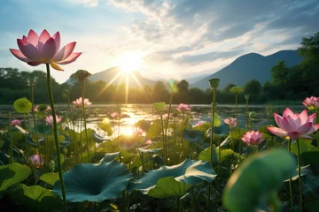 Gordijnen meadows morning lotus flower garden photography © JR BEE