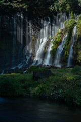 白糸の滝　静岡県