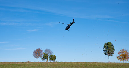 Herbstflug in den blauen Himmel © fotofrank