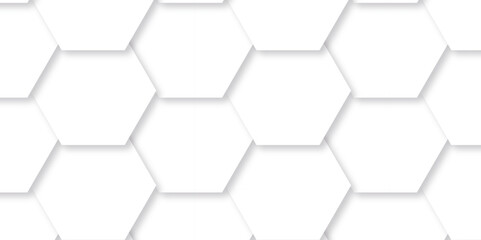 Abstract background with hexagon, modern abstract vector polygonal pattern. Futuristic abstract honeycomb technology white background. Luxury white hexagon pattern.