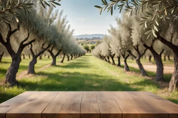 Fototapeten olive harvest and empty presentation table © HalilKorkmazer