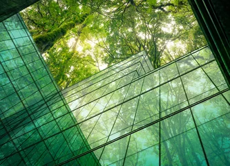 Fotobehang Eco-friendly building in the modern city. Sustainable glass office building with tree for reducing heat and carbon dioxide. Office building with green environment. Corporate building reduce CO2. © Artinun