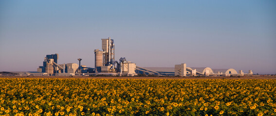 factory in sunflowers