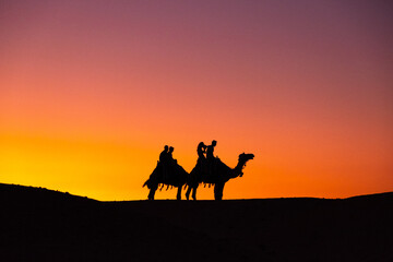 Fototapeta na wymiar Kamelreiten Ägypten Sonnenuntergang