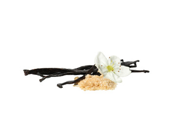 PNG,vanilla pod with a flower, isolated on white background