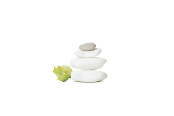 PNG, Stones and flower, isolated on white background