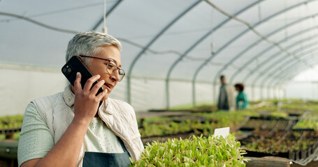 Farmer, phone call and greenhouse plants, agriculture or farming communication, growth and agro business management. Senior woman, supplier or seller talking on mobile with sprout tray or gardening - obrazy, fototapety, plakaty