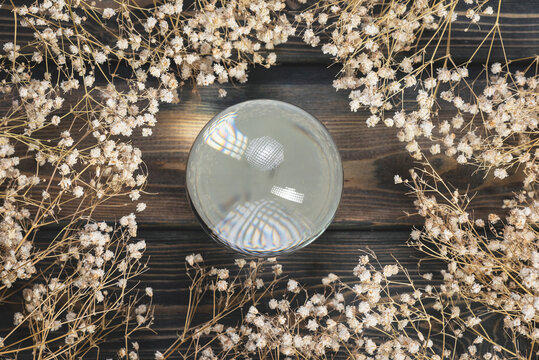 Magic crystal ball and dried flowers on the flat lay table background.