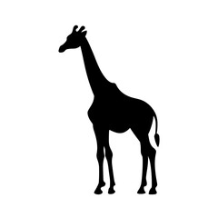Silhouette einer Giraffe