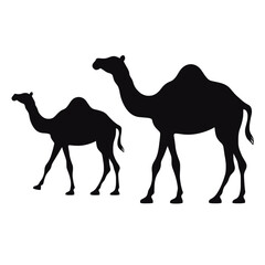 Silhouette von zwei Kamelen in Schwarz-Weiß