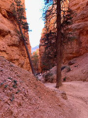 Bryce canyon, USA
