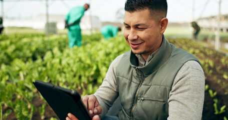 Tablet, innovation and a man in a farm greenhouse for growth, sustainability or plants agriculture. Technology, research and agribusiness with a farmer tracking crops in season for eco science - obrazy, fototapety, plakaty