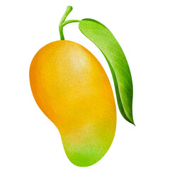 mango with leaf