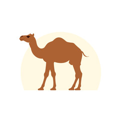 Illustration eines Kamels in der Wüste
