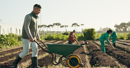 Man, wheelbarrow and soil for working on farm for agribusiness, landscaping or gardening in countryside. Person, walk and field for nutrition, eco development or future growth by planting for harvest - obrazy, fototapety, plakaty