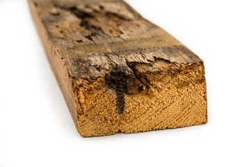 Detail of the rotten timber