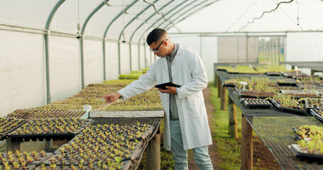Scientist, man and tablet for greenhouse plants, farming or agriculture inspection, quality...