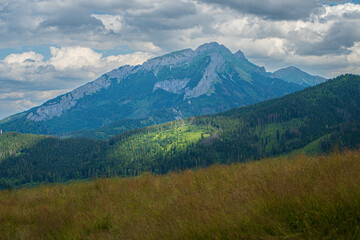 Obraz premium En route to Rusinowa Glade, Gęsia Szyja, and Hala Gąsienicowa in Tatra National Park, the trail reveals the untamed beauty of wilderness. Dense forests, diverse wildlife, and the unspoiled serenity