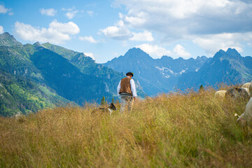 Fototapeta na wymiar Rusinowa Glade, a serene spot in Tatra National Park, comes alive in summer. A local highlander herds sheep amidst the stunning vistas, offering an authentic glimpse into the region's traditions.