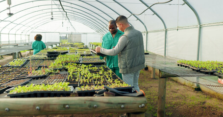 Greenhouse, agriculture and farm employees with plants to check growth, quality assurance and food...