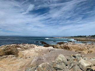 Rochers sur la côte de Monterey en Californie, Etats-Unis