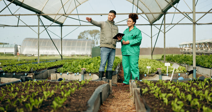 Man, woman and tablet in greenhouse or agriculture gardening, land growth or compost business. Farmer, teamwork and vegetable dirt or inspection manager for soil field for nature, compliance or plant - Powered by Adobe