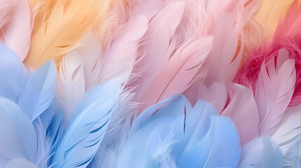 Obraz premium Feathers background with colorful natural, neutral and pastel colors and aesthetic soft style. Fragile and sensitive elements from nature. Beautiful wallpaper with natural texture. Purity and beauty.