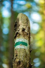 Trail markers guide the way through the Tatra Mountains, leading towards Rusinowa Glade, Gęsia Szyja, and Hala Gąsienicowa, showcasing the breathtaking landscapes of the Tatras.