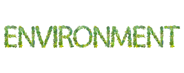 word of ENVIRONMENT made from various kinds of leaves isolated on transparent background, suitable for template go green concept, PNG