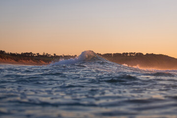Wave on the beach shore of Long Reef, Sydney, Australia.