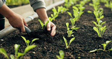 Closeup, hand and soil for planting in farming, agribusiness or gardening in greenhouse for future growth. Person, worker and tool for earth, sapling or harvest of organic produce, vegetable or agro