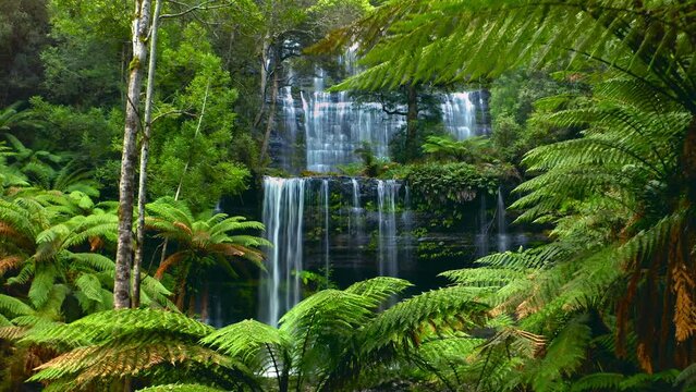 Tasmania Australia rainforest waterfall landscape. Russell falls Mt Fields park