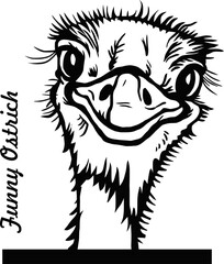 Peeking Ostrich - Comic Animal - Funny Animal - Wildlife Stencil - vector clipart stock