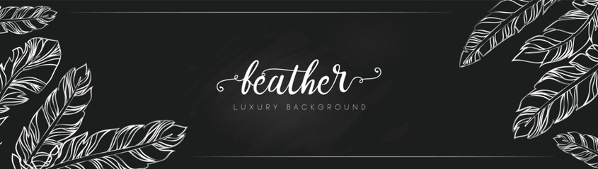 Fototapeta na wymiar Vector Background with feathers. Luxurious feather background design.