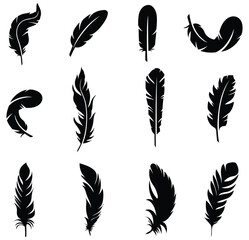 vector design of isolated feathers silhouette