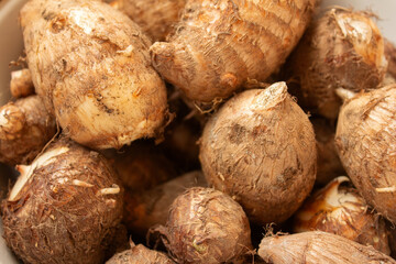 家庭菜園の畑で収穫されたての里芋　アップ２