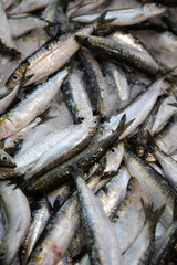 Fototapeta premium fish stall at market Portugal. Fresh chilled variety fish