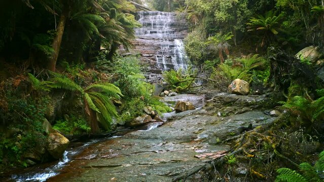 Tasmania wilderness nature. Waterfall in jungle forest