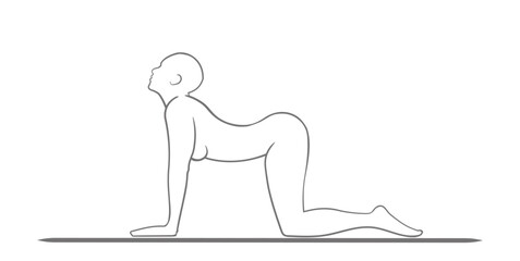 balance and relaxation in Cow Pose, a posture that cultivates mindfulness and vitality