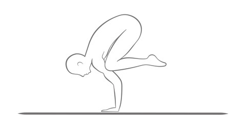 In Kakasana, yogis balance on their hands, building strength and focus.