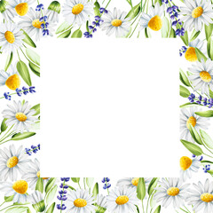 Obraz premium Watercolor frame, template with lavender, sage and chamomiles illustration isolated on white background. Detail of beauty products and botany set, cosmetology and medicine. For designers, spa 