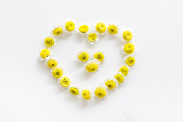 White and yellow chamomile flowers pattern, top view. Floral background