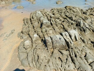 Muddy Rocks Shaped And Textured By Sea Water