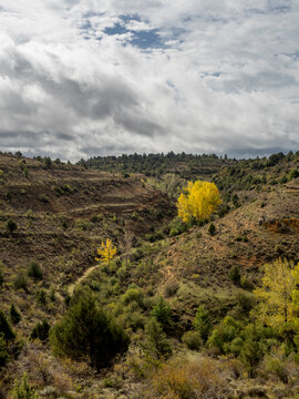 paisaje de oto&ntilde;o con vistas a los arboles amarillos y verde y un camino en medio de dos colinas con el cielo nuboso detr&aacute;s.