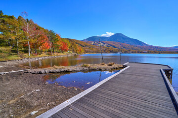 秋の長野県立科町の女神湖から蓼科山方面を見る