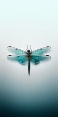 Turquoise dragonfly