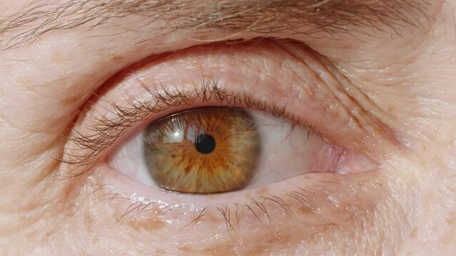 Iris of woman's brown eye with freckles. Portrait woman eye. Woman's eye close up opening looking at camera macro photography. Natural Beauty concept with Freckles