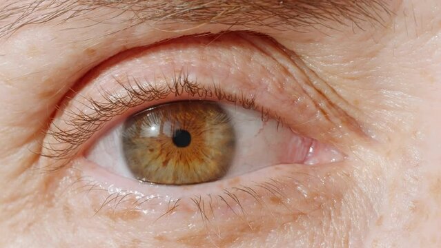 Iris of woman's brown eye with freckles. Portrait woman eye. Woman's eye close up opening looking at camera macro photography. Natural Beauty concept with Freckles